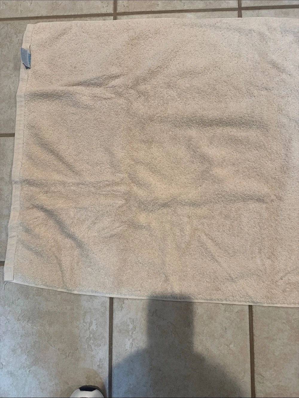 Towels Embroidered Pink Rose Cream Bath Towels Set of 2